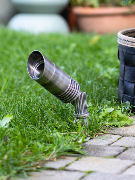 Aurora Spießleuchte