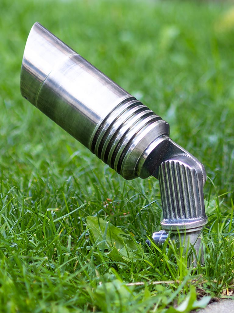 Aurora Spießleuchte