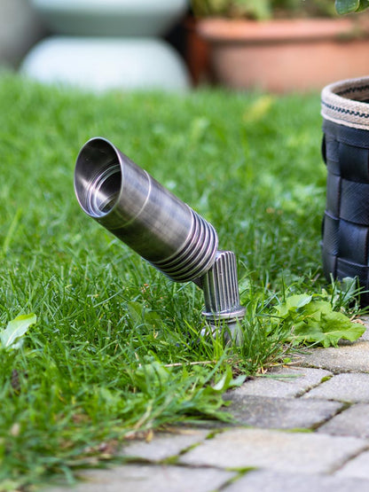 Aurora Spießleuchte