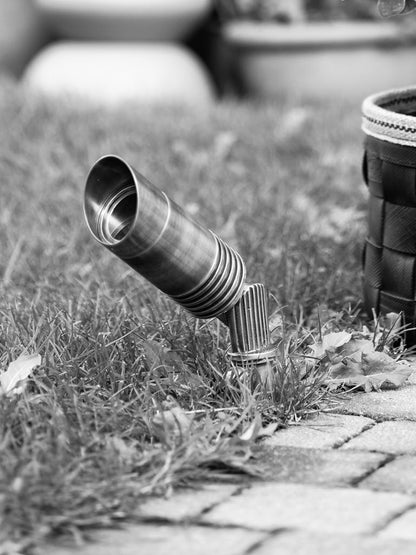 Aurora Spießleuchte